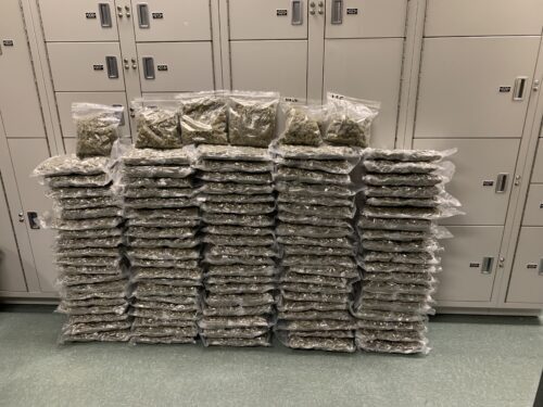 A large stack of cannabis packaged in plastic.