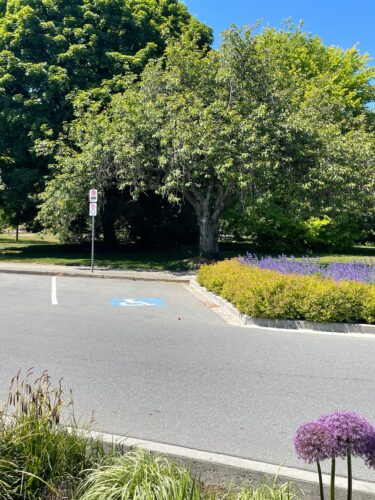 An accessible parking space in the parking lot of the Queen's Park Stadium.